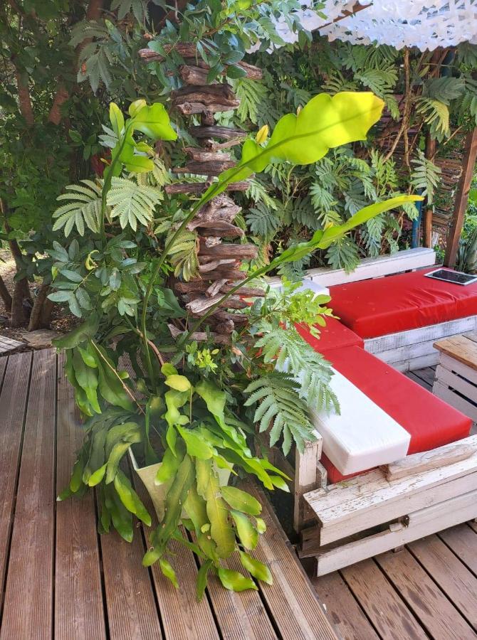 Logement De Charme Avec Piscine Et Jacuzzi Carnoules  Dış mekan fotoğraf