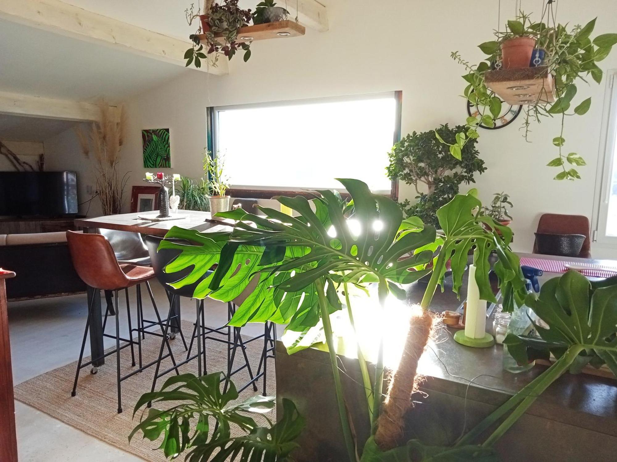 Logement De Charme Avec Piscine Et Jacuzzi Carnoules  Dış mekan fotoğraf